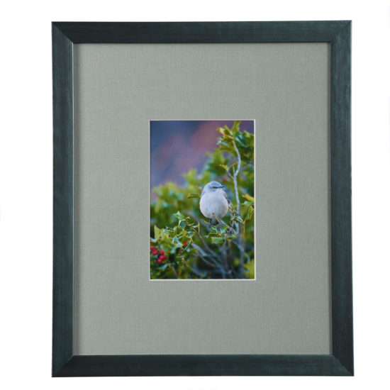 bird in holly