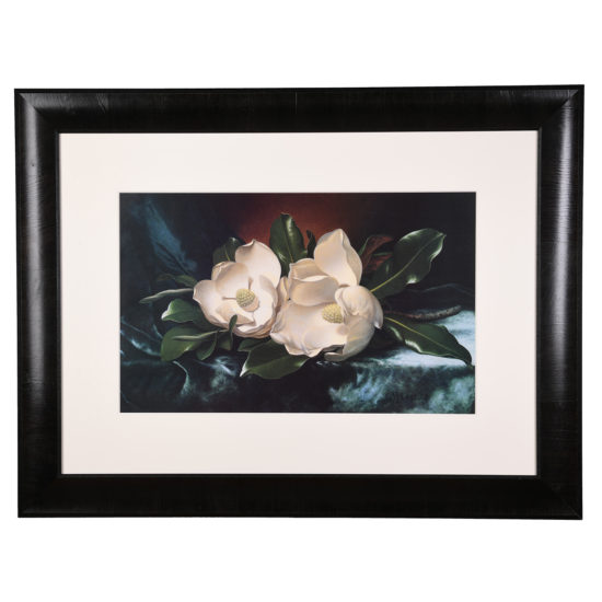 magnolia