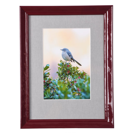 bird in holly